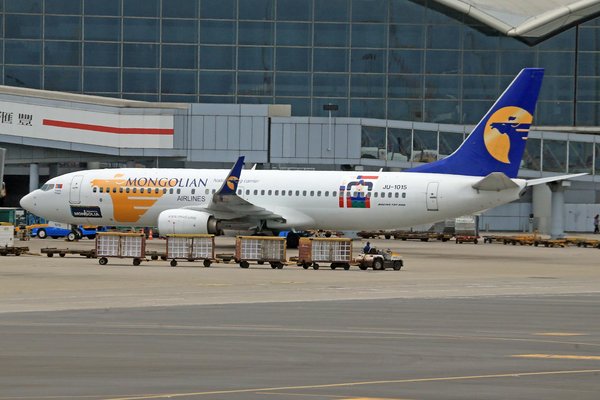 Experience Authentic British Gardening: Participate in Interactive Workshops with a Traditional Touch