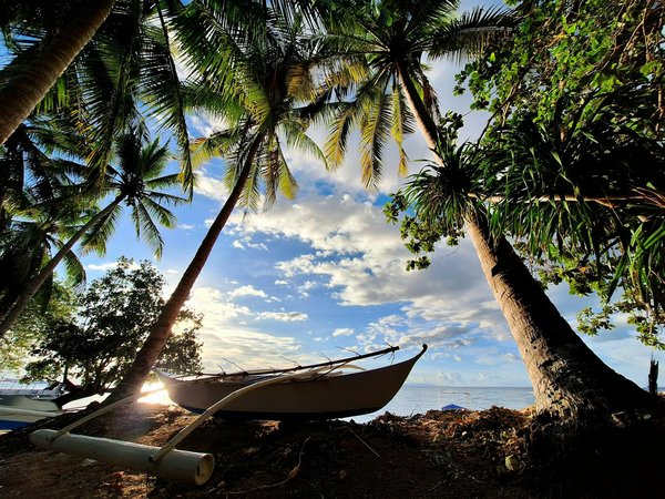 Discover London's Best Budget Food Markets: A Guide for Savvy Travelers