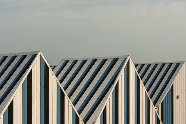 Explore the Premier Birdwatching Spots in the Scottish Borders: The Ultimate Guide for Nature Enthusiasts