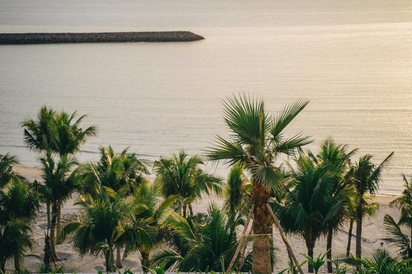 Spring Camping Adventures in the UK: Unveil the Magic of Wildflower Season